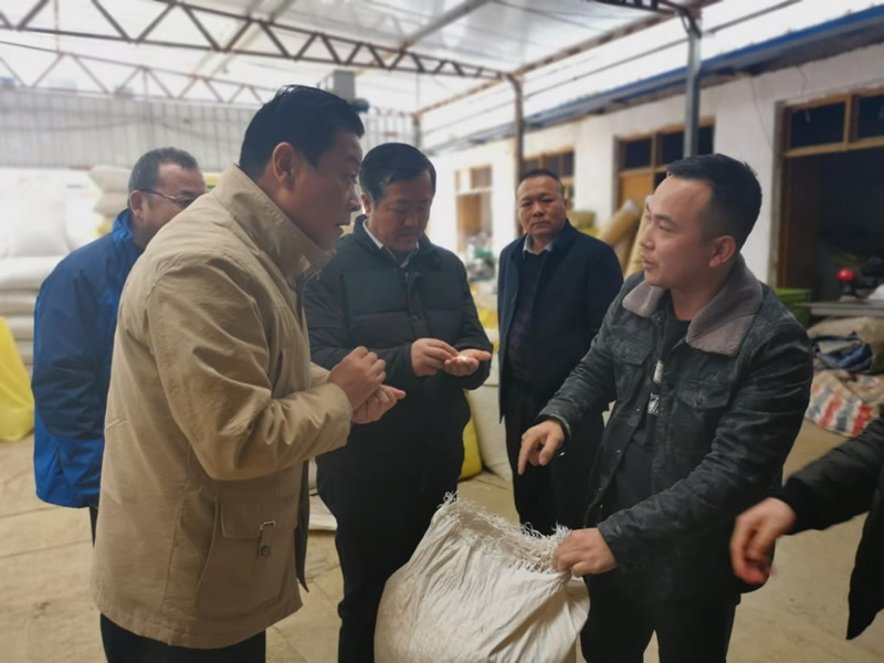 201912051575519960268087.jpg 3.jpg