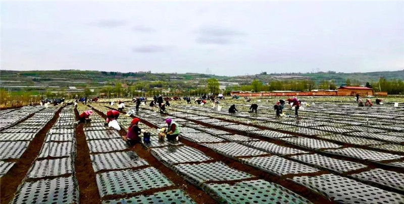 202006011590977020651802.jpg e6627051-7b3a-4122-83e3-9fd204cf92ea.jpg