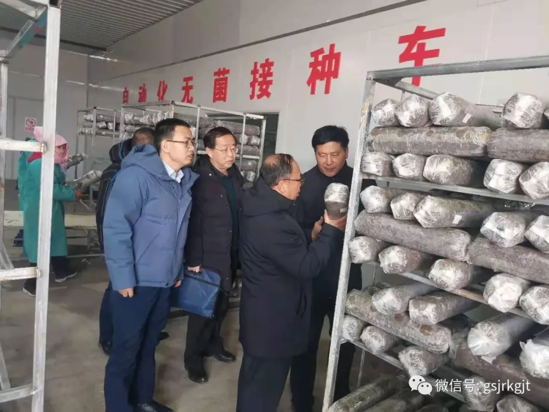 防风险 夯基础 促发展——金控武威担保开展保后管理专项检查